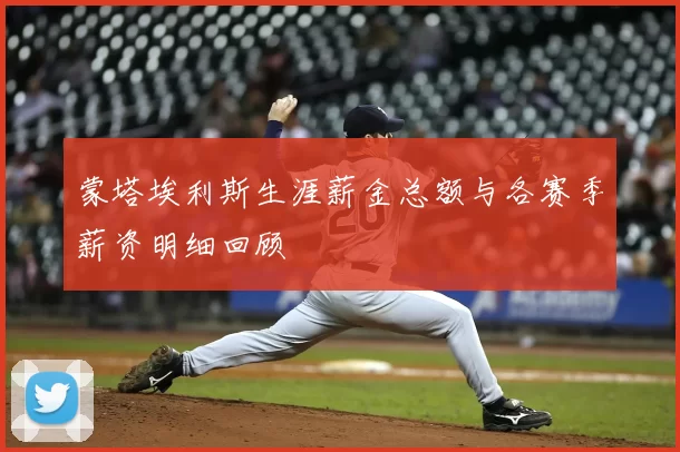 蒙塔埃利斯生涯薪金总额与各赛季薪资明细回顾