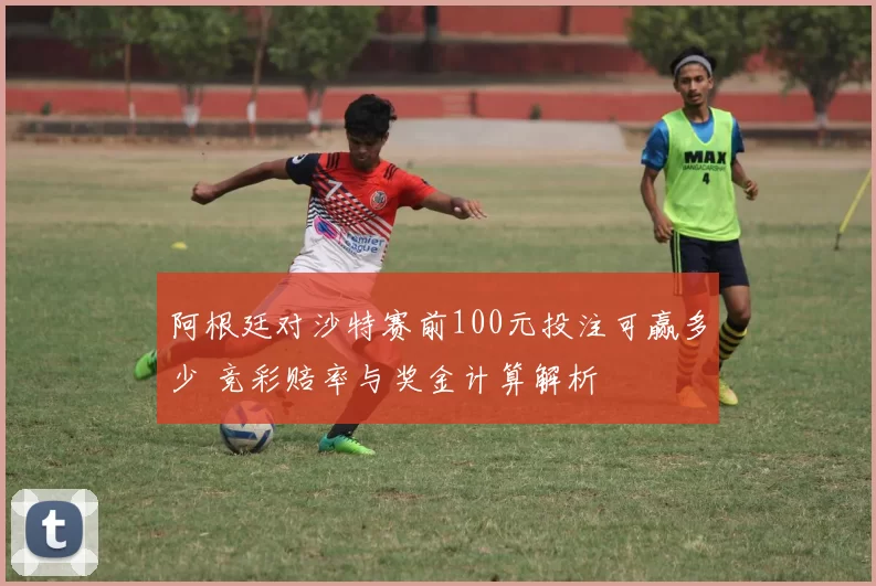 阿根廷对沙特赛前100元投注可赢多少 竞彩赔率与奖金计算解析