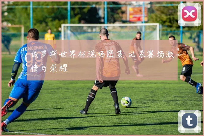 俄罗斯世界杯现场图集 记录赛场激情与荣耀