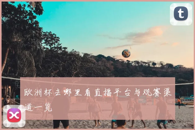 欧洲杯去哪里看直播平台与观赛渠道一览