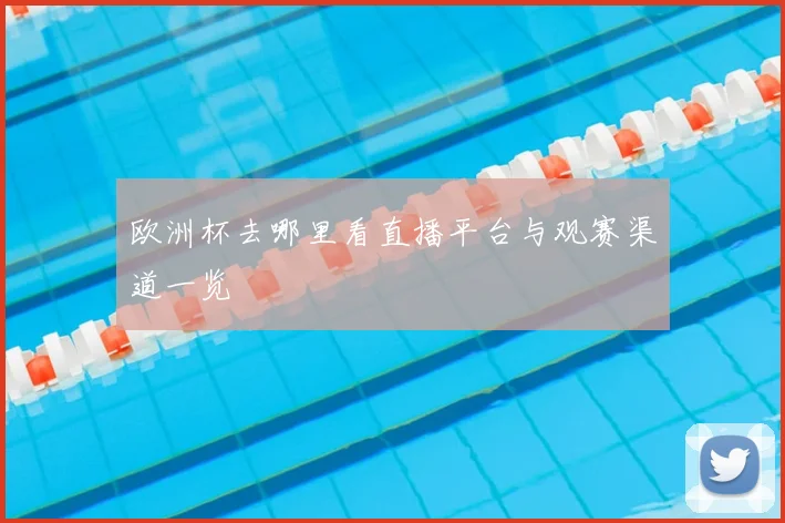欧洲杯去哪里看直播平台与观赛渠道一览