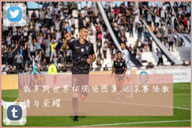 俄罗斯世界杯现场图集 记录赛场激情与荣耀