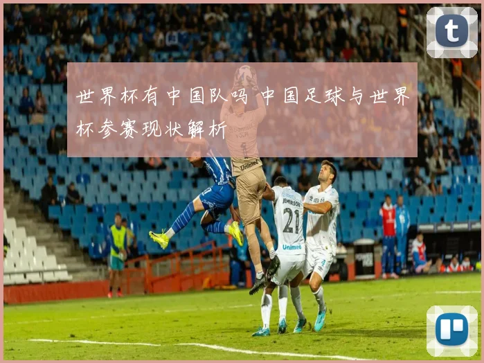 世界杯有中国队吗 中国足球与世界杯参赛现状解析